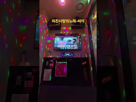 미친사랑의노래_씨야 #노래 #내사랑이야 #노래방 #일반 #코노 #cover #천 #유튜브