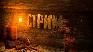 Stream/Подпишись/Лайкусик/Deroma/Stalcraft