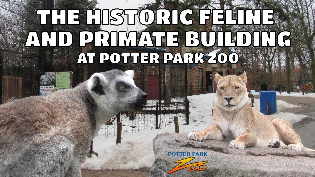 The Historic Feline and Primate Building at Potter Park Zoo Exhibit