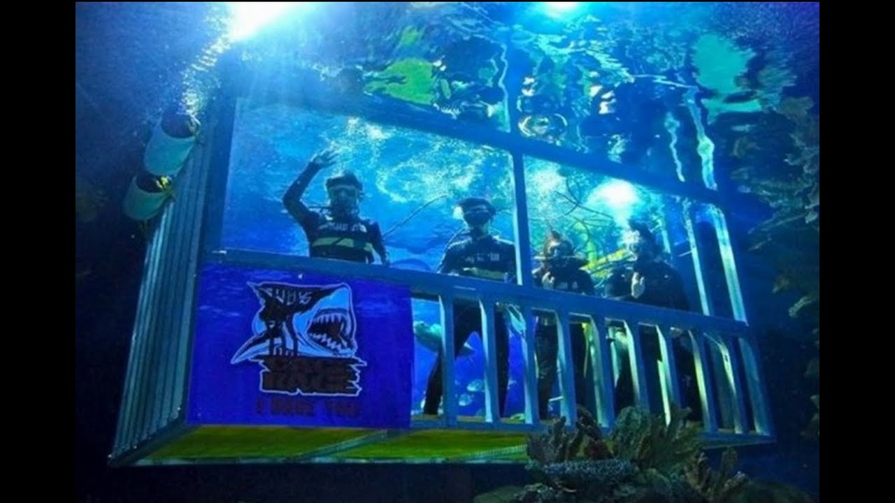 KLCC Aquaria in Malaysia the best Great experience แนะนำท่องเที่ยว มาเลเซีย pantip one piece