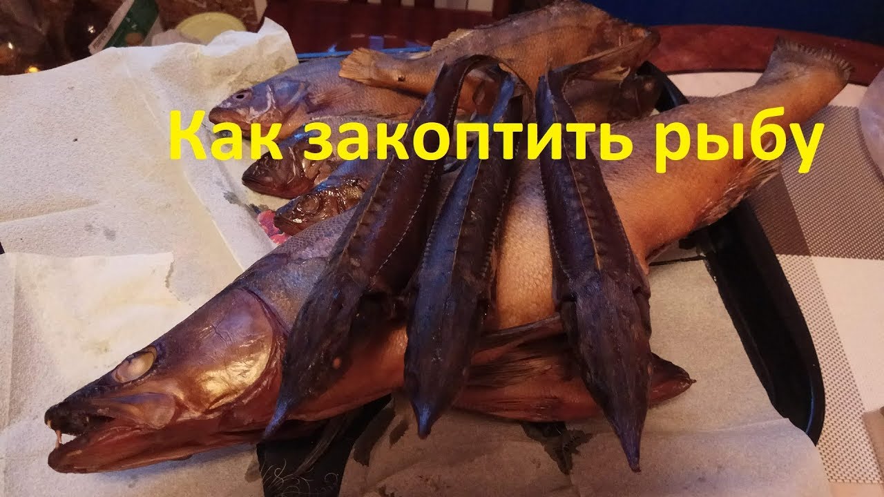 Как закоптить рыбу - YouTube