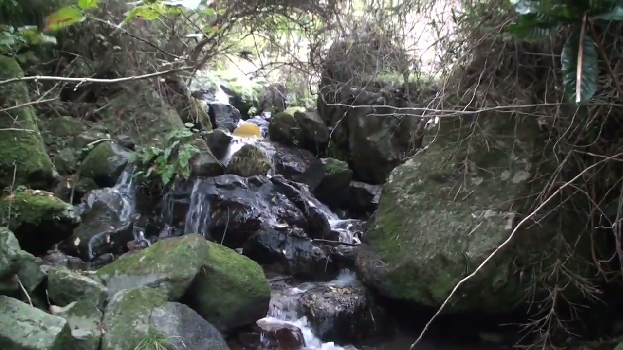 新開拓地　2015 10 23