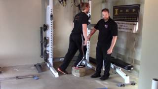 Backward Step Down - The Training Plan Source