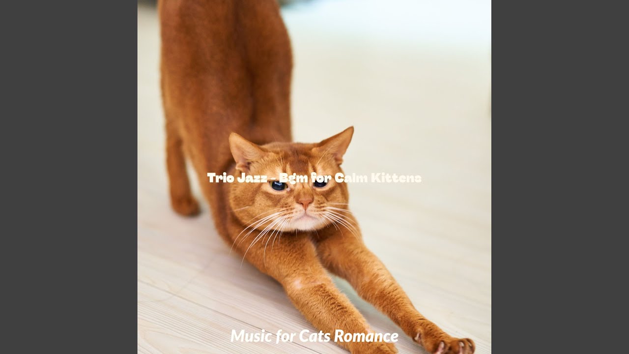 Simple Music for Moment