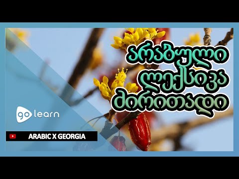 არაბული ლექსიკა ძირითადი | Golearn