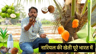 नारियल की खेती पूरे भारत में || Coconut Farming || Hello Kisaan by Hello Kisaan 124,801 views 3 months ago 25 minutes