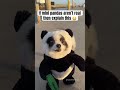 Happy National Panda Day! Every day is panda day for Huxley 🐼🐶❤️ #pandapuppy #cutepets #dogcostume