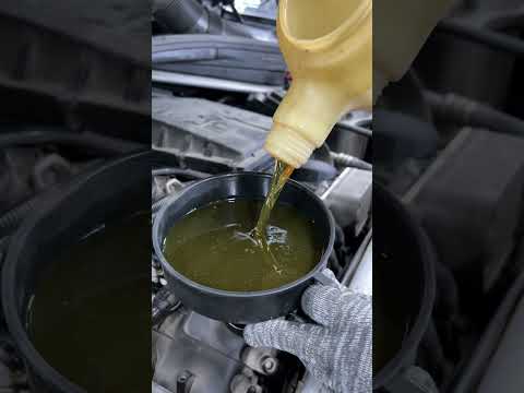 Bmw f15 замена масла #заменамасла #автосервис #bmw #bmwзапад #short #shorts