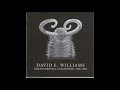 David E. Williams Chords