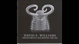 Video thumbnail of "David E. Williams - Wotan Rains On A Plutocrat Parade"