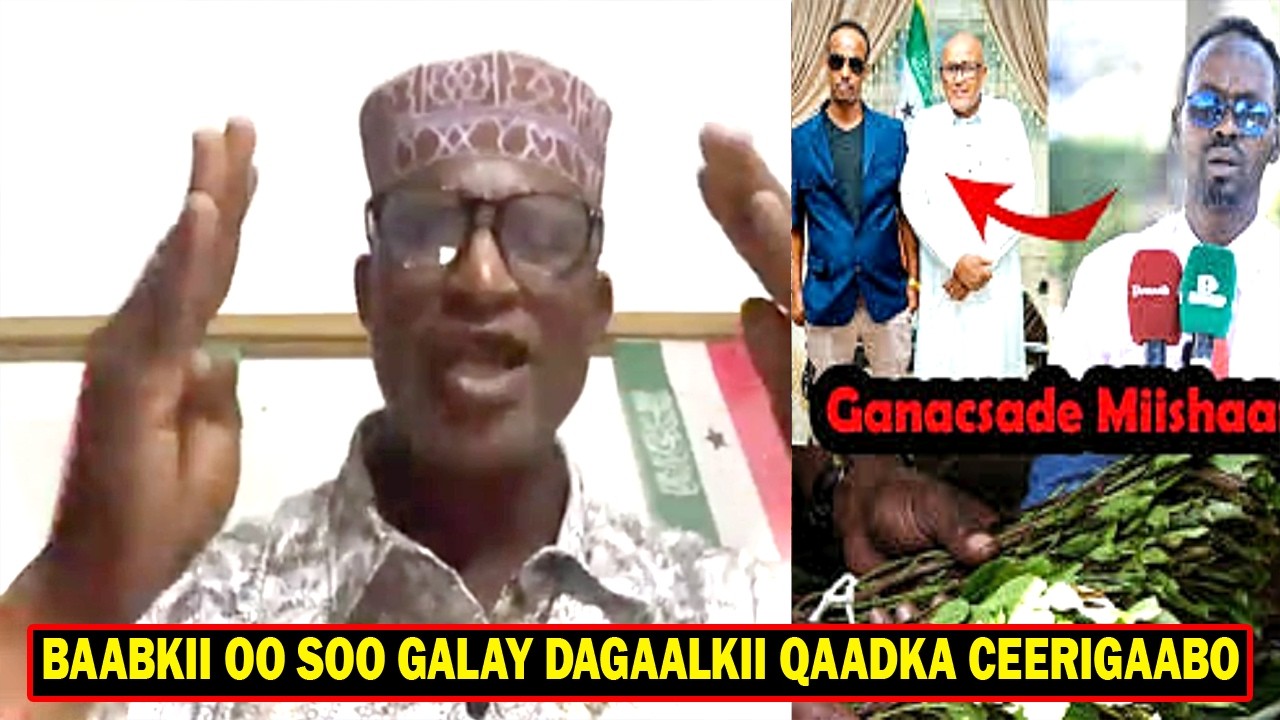 Babulahi Oo Soo Galay Dagaalkii Qaadka ee Habarjeclo & Habaryoonis Lana Saftay Saaxiibkii Miishaarta