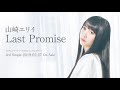 山崎エリイ / Last Promise