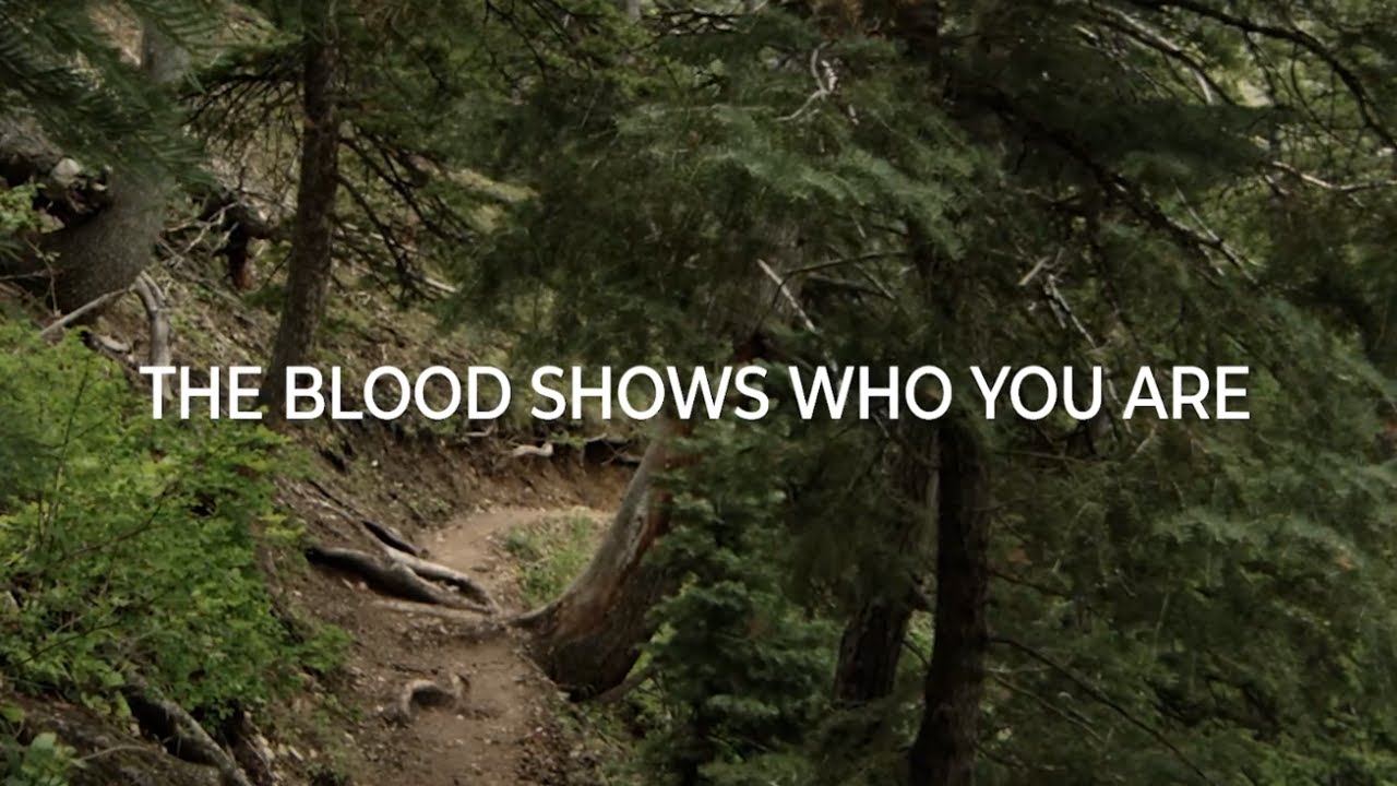 Transitions (Official Lyric Video) - Tom Mottershead feat. Pearl Roycroft