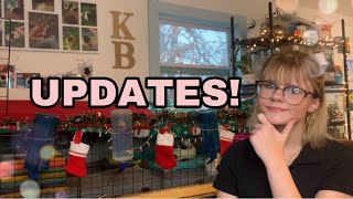 Where Have I Been & What’s Next? | UPDATES | by K.B's World of Pets 774 views 2 years ago 6 minutes, 50 seconds