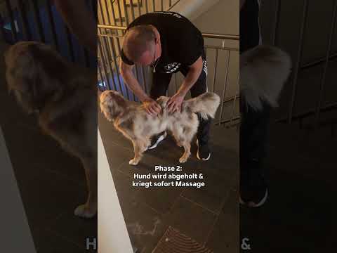 Bei Begrüßungs-Süppchen ist schon vorbei gewesen. Kriege diesen Hund nicht mehr wieder… haha
