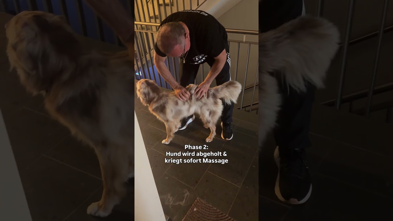 Bei Begrüßungs-Süppchen ist schon vorbei gewesen. Kriege diesen Hund nicht mehr wieder… haha