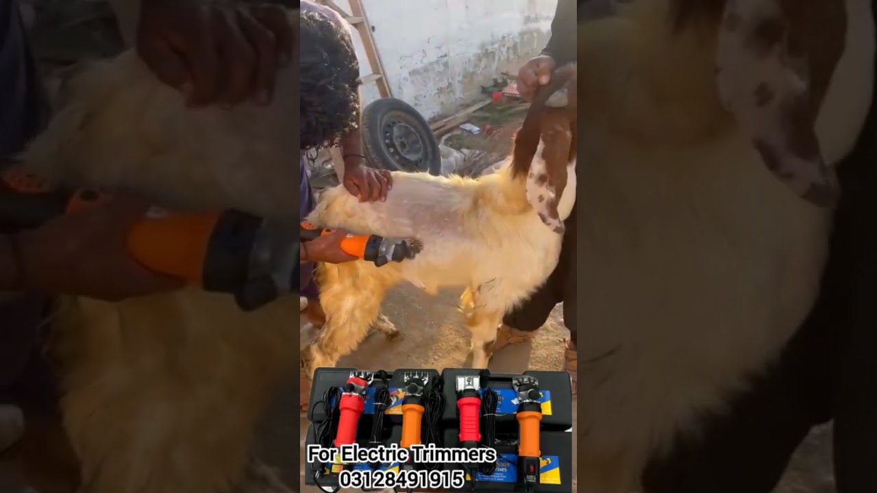 unboxing animal trimer/sheep trimer/goattrimer/animal hair cutting machine.sheepky baal katne
