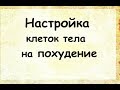 Настройка тела на похудение. Автор lee.