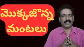 Maize Crop Firing Crop Loss Maize Market report | మొక్కజొన్న అగ్నికి ఆహుతి