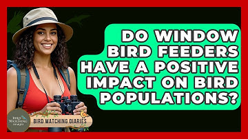 Do Window Bird Feeders Have A Positive Impact On Bird Populations? - Bird Watching Diaries