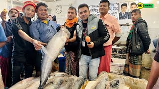 Kazi Bazar Fish Market - Sylhet Big Big Boal কাজী বাজার মাছের আরৎ বড় বড় বোয়াল মাছ - সিলেট