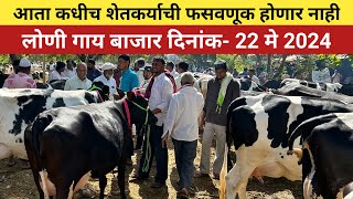 लोणी HF गायांचा बाजार | 22 मे 2024 🥰 Loni HF cow market 🐄 आता कधीच शेतकऱ्याची फसवणूक होणार नाही👌