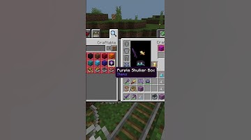 Sneaky Shulkers🟪💨 in the overworld #minecraft #gaming