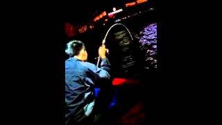 Victoria harbour fishing 3