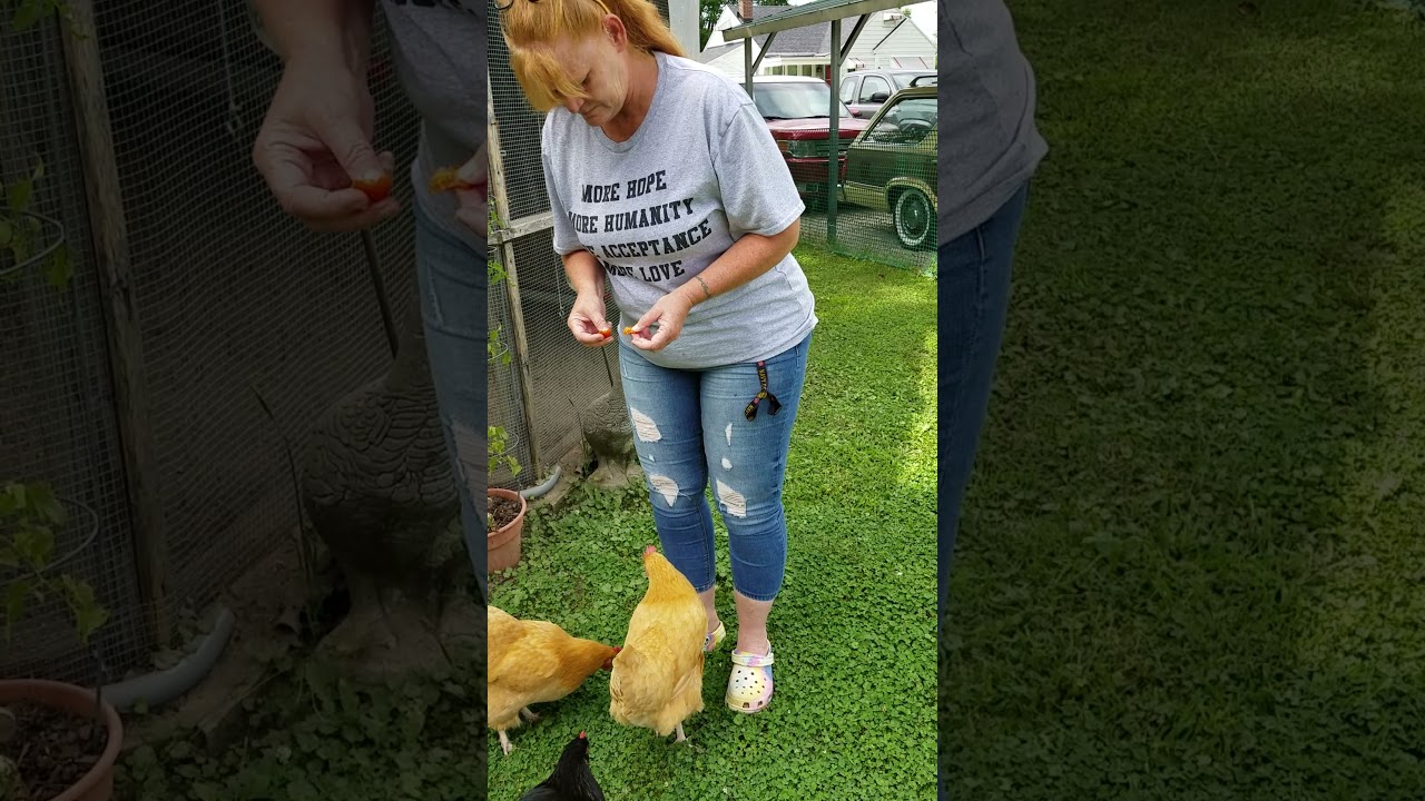 Cuddles the Chicken gives Tammy a hug.