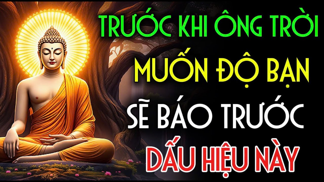 TRƯỚC KHI ÔNG TRỜI MUỐN ĐỘ BẠN, NGÀI SẼ BÁO TRƯỚC QUA DẤU HIỆU NÀY | Nhân Tâm Chỉ Lộ