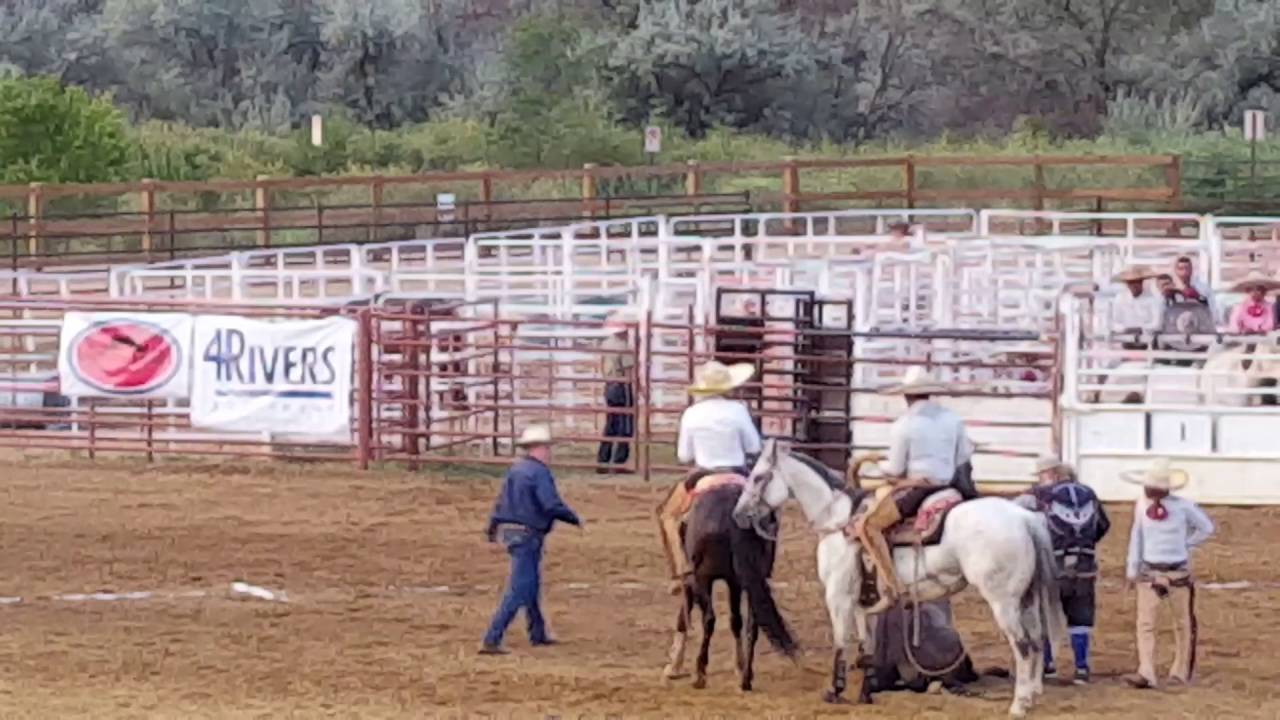 Tragic accident with horse on rodeo in USA - YouTube