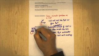 chapter 9 problem 8