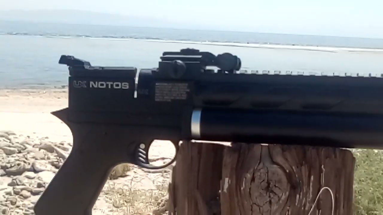 UMAREX NOTOS .22 BEACHED