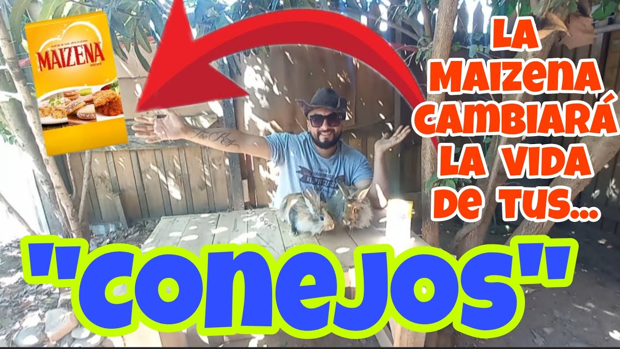 Sabías esto de la Maizena? Tus conejos te lo agradecerán 👋🤠❤️🐇❤️🇨🇱