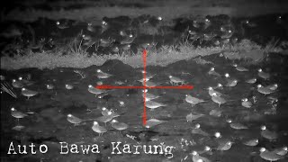 Berburu Malam || Berkik / Burcet di spot persawah Sidoaarjo Jawa Timur.‼️
