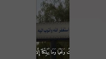 القران الكريم قران كريم قران #اكسبلور #قران #القرآن_الكريم #القرآن #القران_الكريم_راحه_نفسية