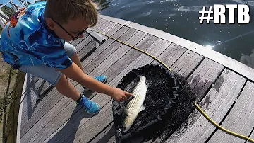 Quel leurre pour pêcher le mulet ?