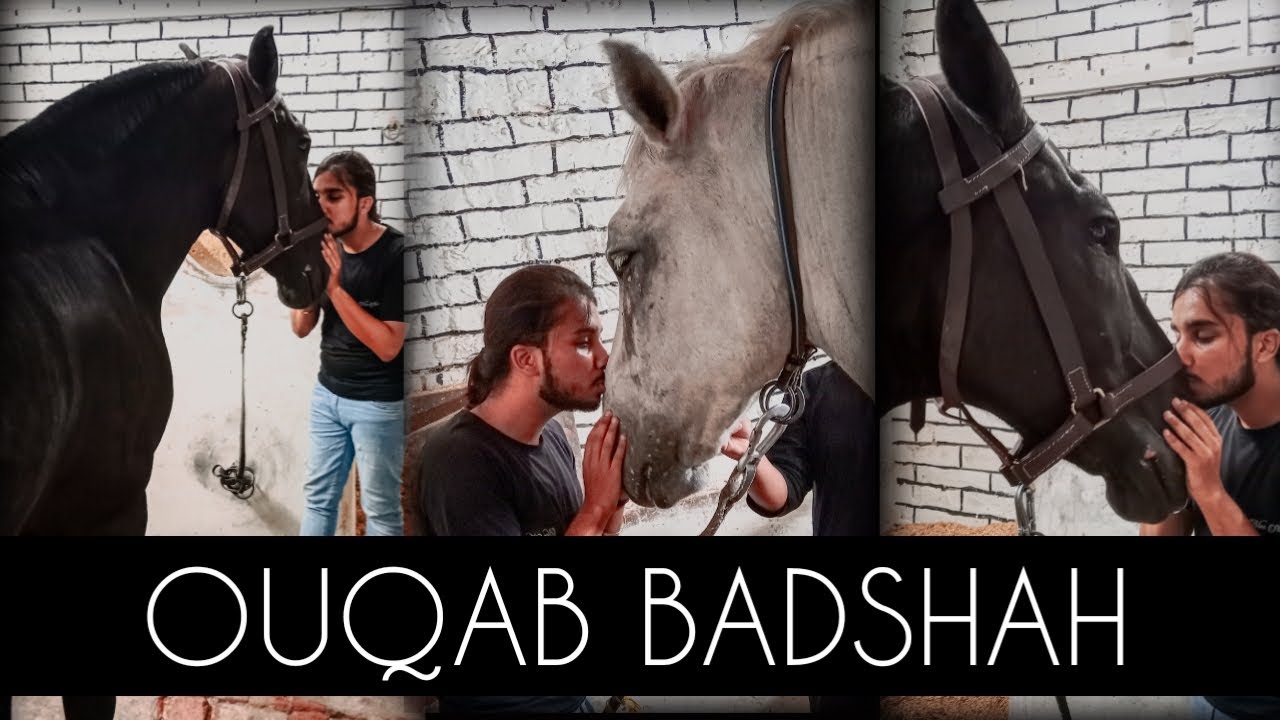 ZULJANAH OUQAB BADSHAH  | Two Zuljanah of Imam Hussain (AS) in Lahore