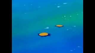 [SHOCKING!] CAUGHT ON CAMERA! POKEMON DROWNS TO DEATH!