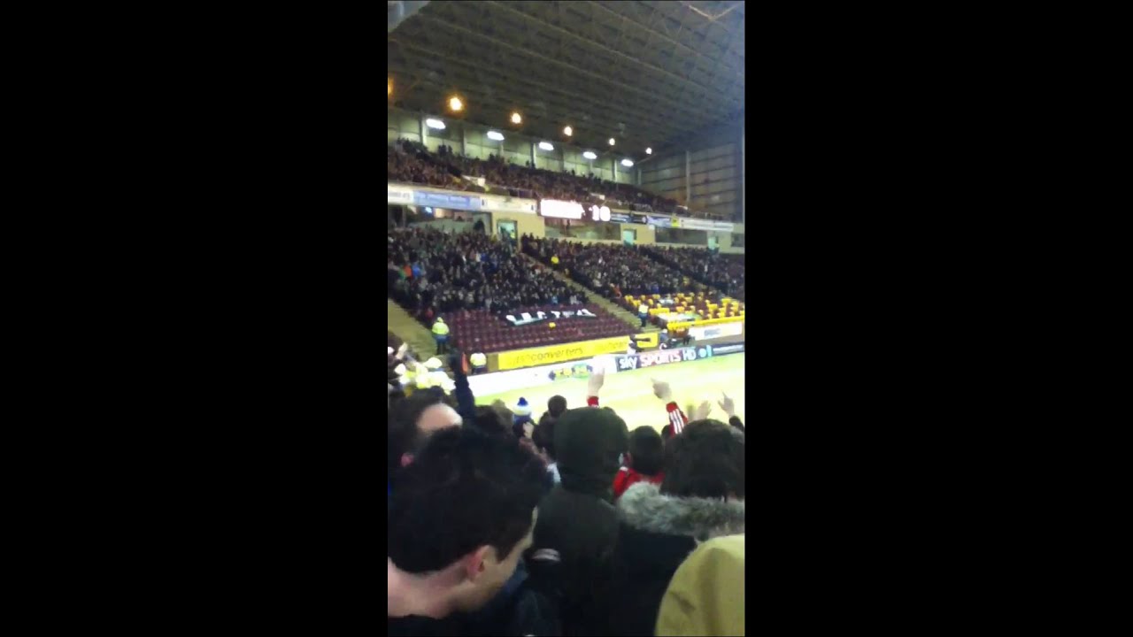 Can u here the hibees sing!!!!!!!!