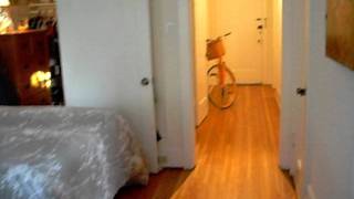 DSCF0004
