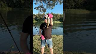 Ультралайт #рыбалка #fishing #shimano