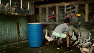 Luis Fousi - Despacito ft.