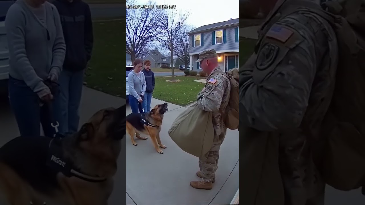 My Dog Tried to Follow Me to the Army 😭