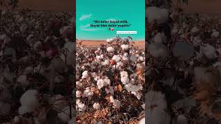 Biz Neler Hayal Ettik, Hayat Bize Neler Yaşattı..”🥀❤️🩹 Resimi