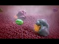 How diclofenac reduces inflammation