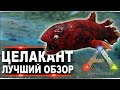 Целакант (Coelacanth)  в АРК. Лучший обзор приручение и особенности  латимерии в ark.