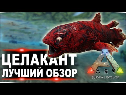 Видео: Целакант (Coelacanth)  в АРК. Лучший обзор приручение и особенности  латимерии в ark.