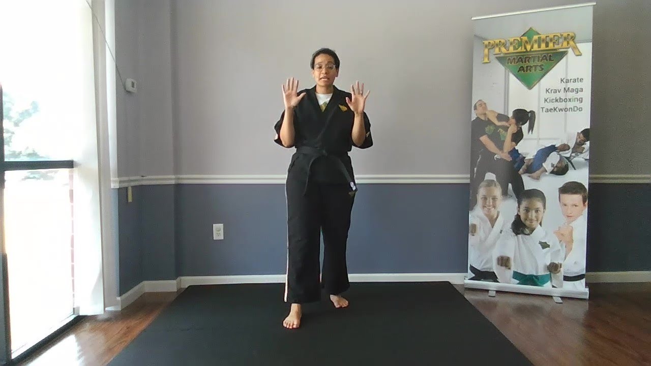 Martial Arts Class Defensive vs. Offensive (vs. Common Sense) YouTube
