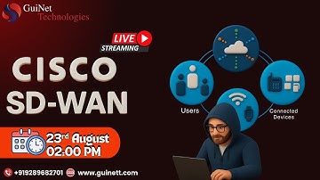 Understanding Cisco SD-WAN | Controller & Router Concepts, Routing vs Routed Protocols, RIB vs FIB